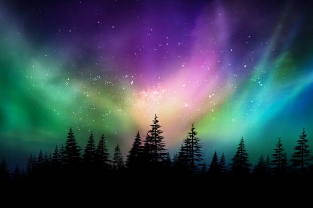 northern lights,aurora borealis,night,stars