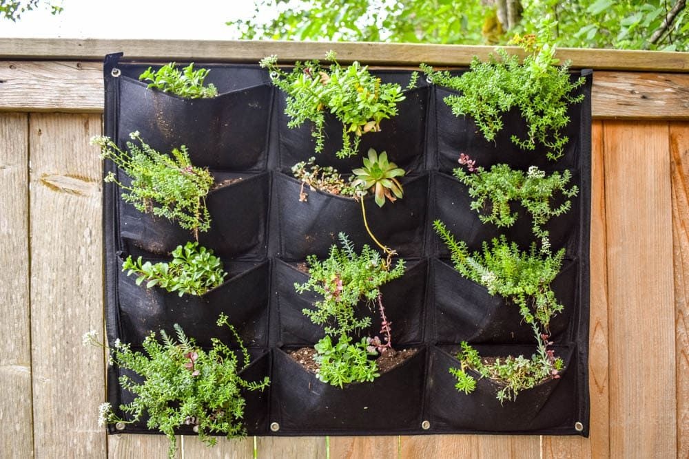 balcony,vertical garden,herbs,vegetables