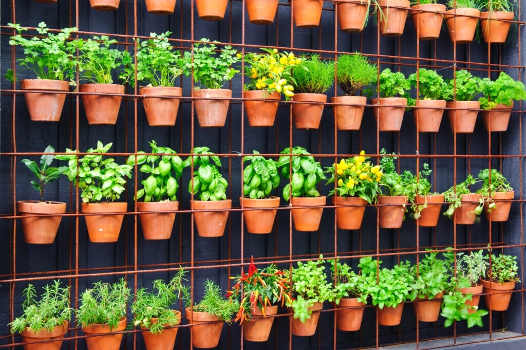 vertical garden structure,pallet,plants,herbs