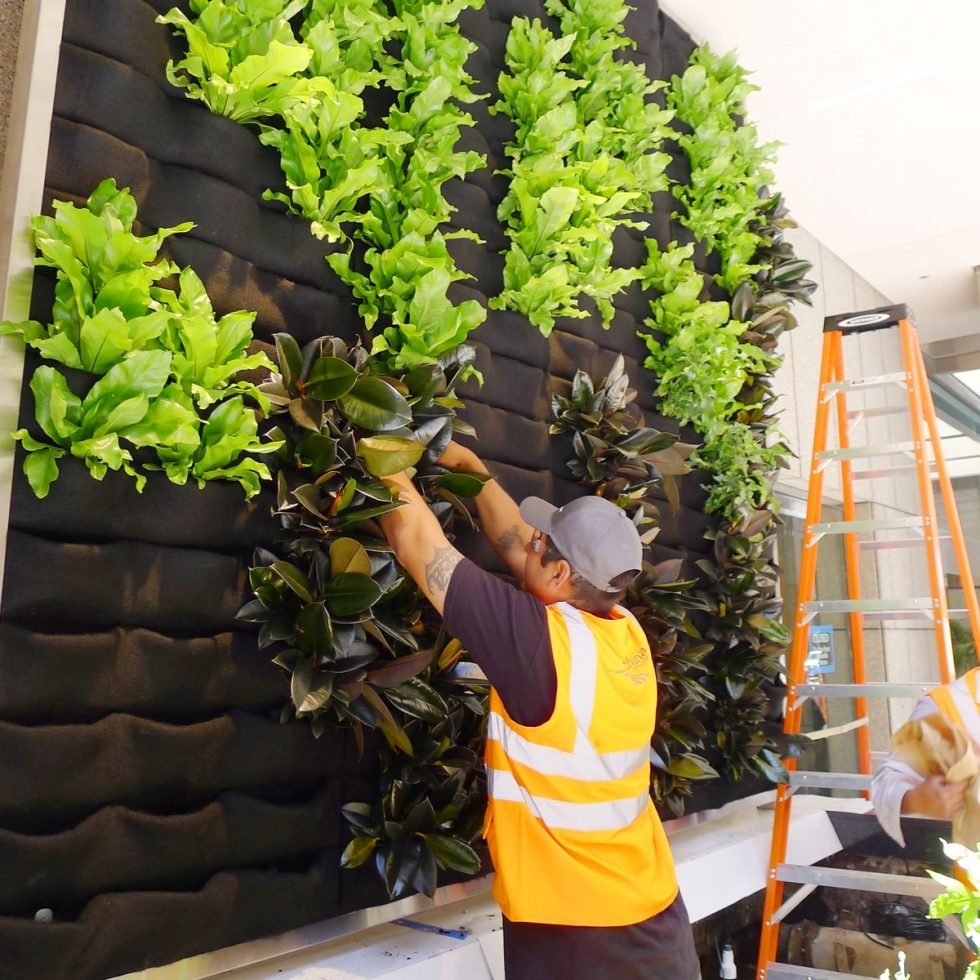 pocket garden system,fabric,plants in pockets