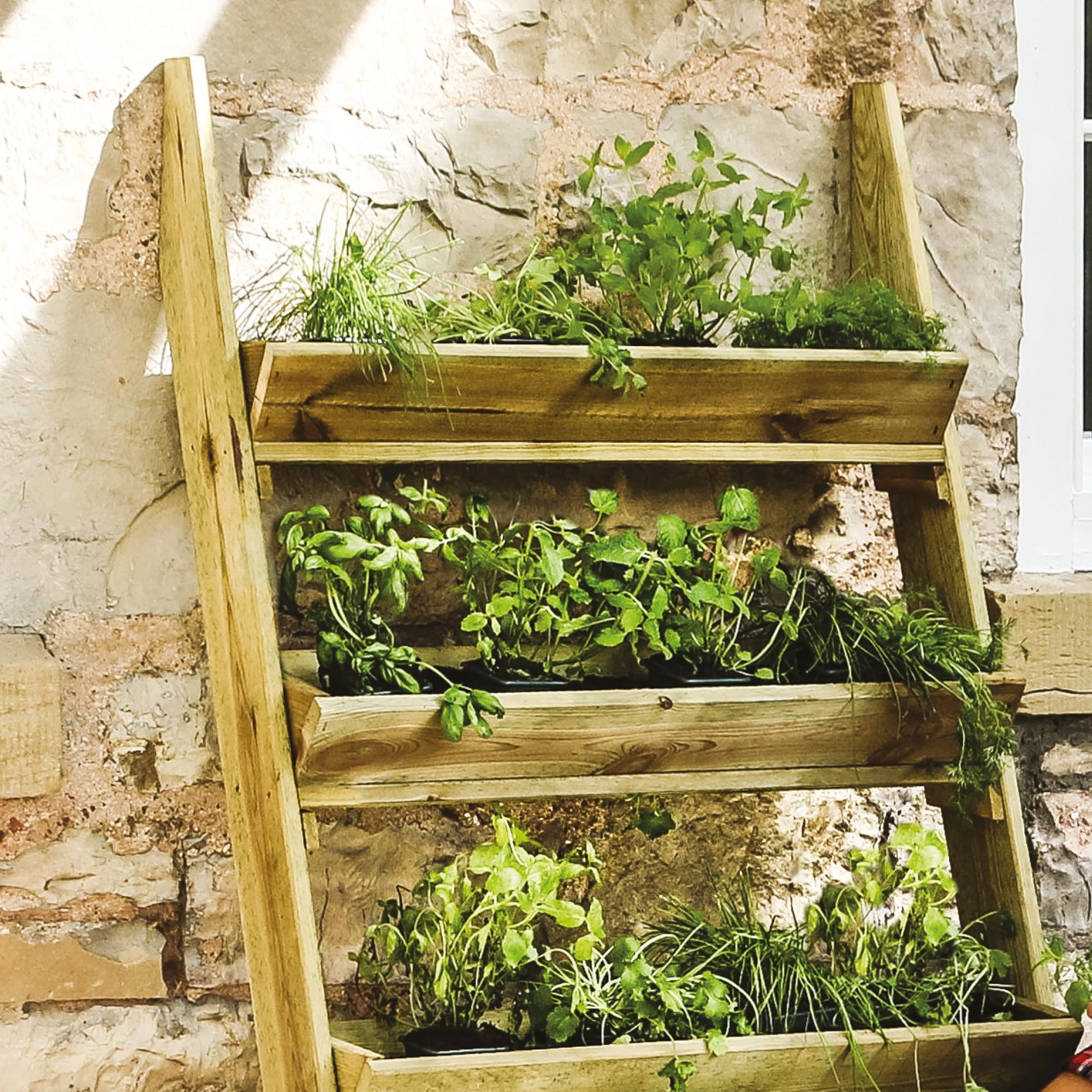 vertical planter,wooden,multiple tiers,plants