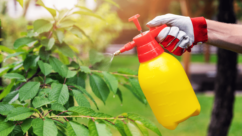 organic pest control,plants,natural remedies